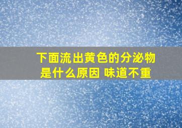 下面流出黄色的分泌物是什么原因 味道不重